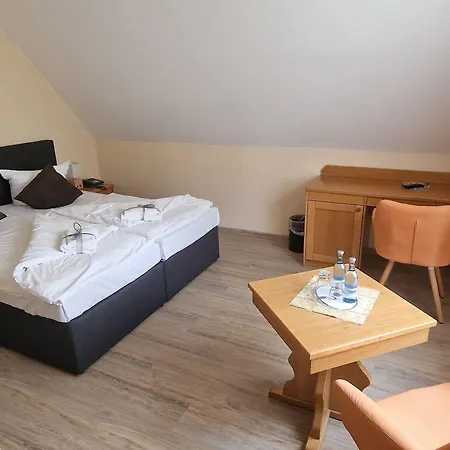 Hotel Mecklenburger Muehle Garni 3*